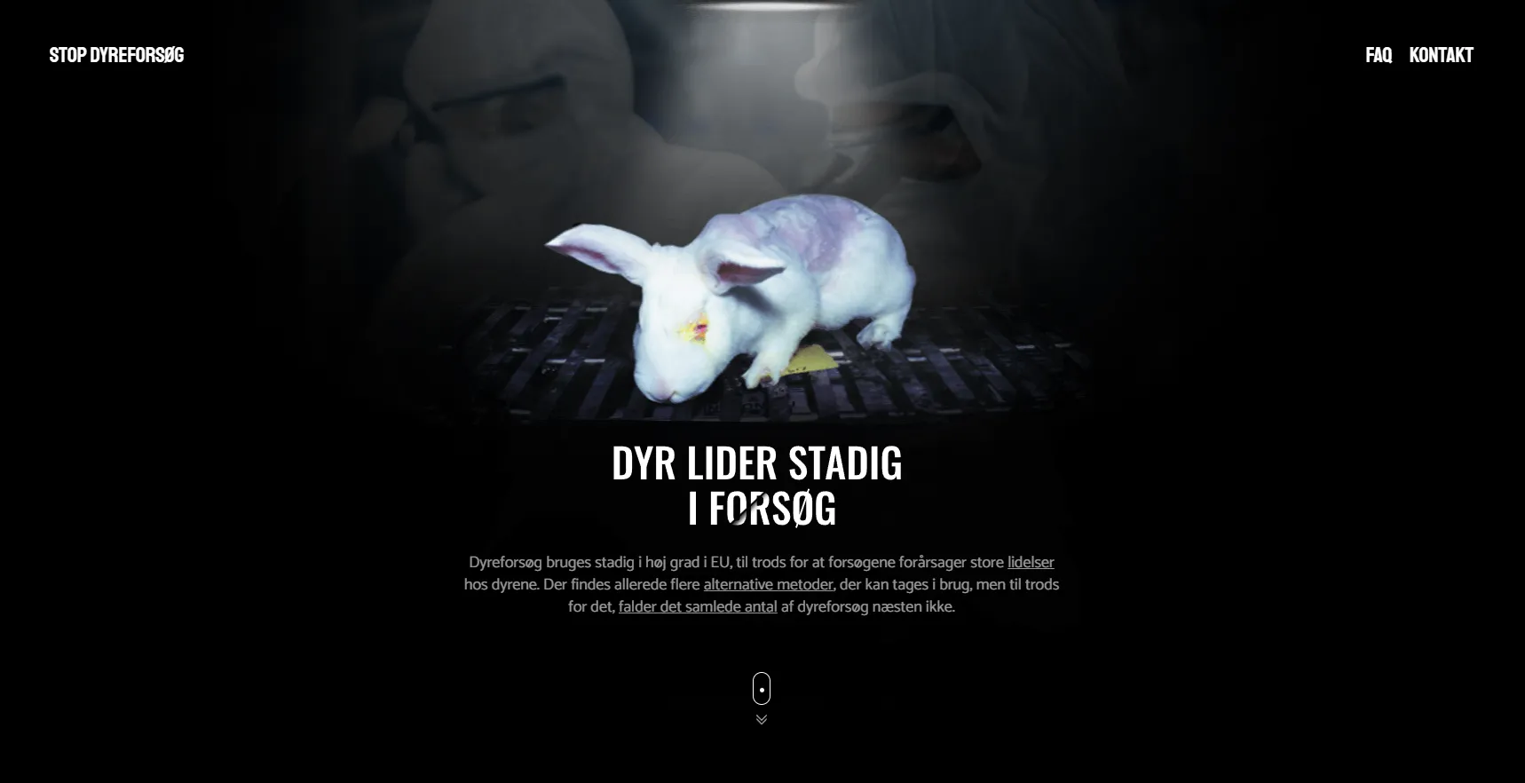 Web Za pokusy bez zvířat - DK od studia Yeetzone