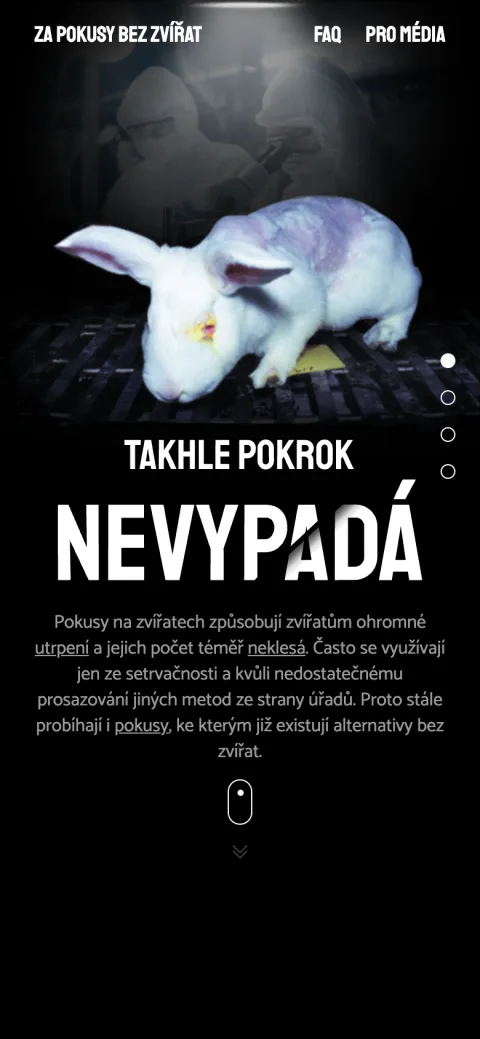 Za pokusy bez zvířat - DK mobilní zobrazení